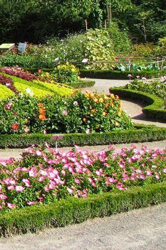Parc de la Tête d'Or